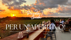 Scopri di più sull'articolo Piccola Guida della Val di Cornia: per un Aperitivo!