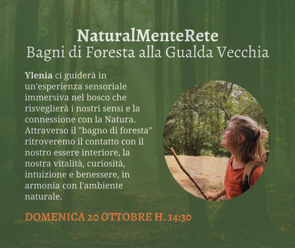 Bagno di Foresta con Naturalmenterete