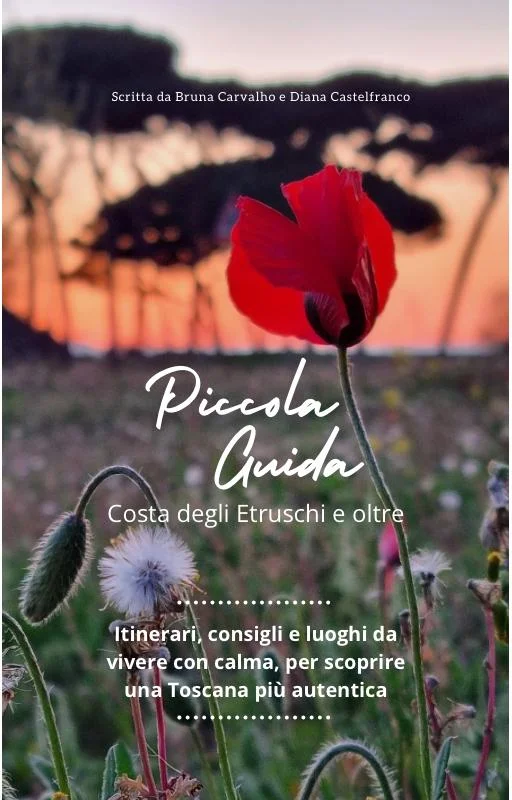 Piccola Guida: Costa degli Etruschi e oltre